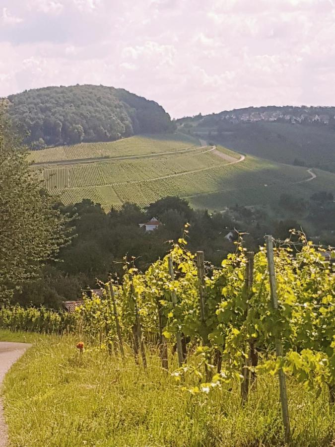 Szafranzimmervermmitung Appartement Winnenden Buitenkant foto